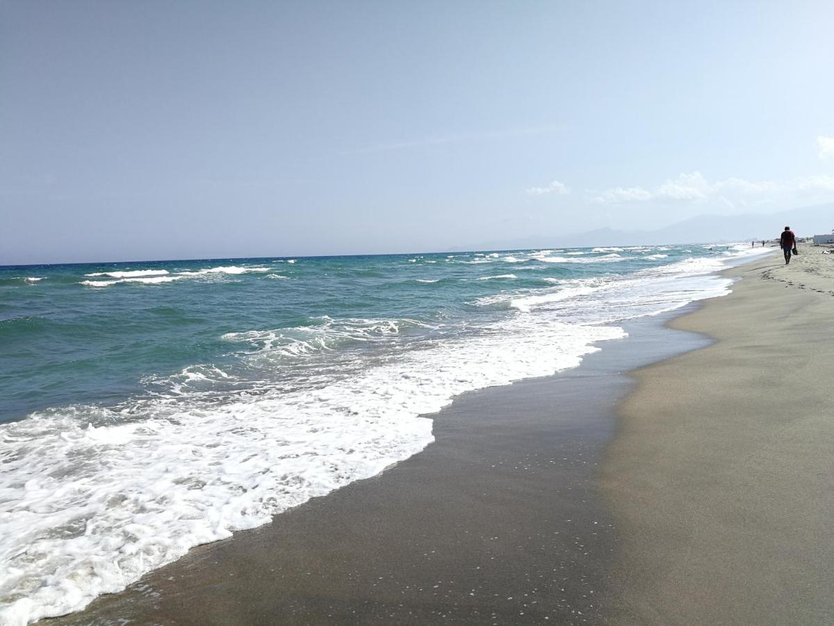 Agreable Studio 50M De La Plage Canet-en-Roussillon Exteriér fotografie